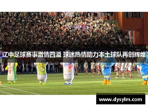 辽中足球赛事激情四溢 球迷热情助力本土球队再创辉煌